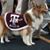 Chon Cooper's profile image