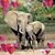 Nancy Grayson's profile image