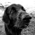 Donald Linville's profile image