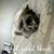 Debbie McDowell Gravett's profile image