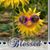 Julie McKinney Alfont's profile image