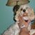 Susie Lewis's profile image