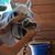 Lori Price's profile image