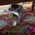 Sonny Erickson's profile image
