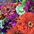 Mary Meagher Corrigan's profile image