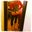 Lauren Clapperton's profile image
