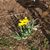 Cheryl Haines-Gaskill's profile image