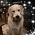 Nancy Heisinger Franzo's profile image