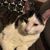Timothy Duda's profile image
