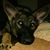 Susan Stuart Price's profile image