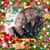 Sharon Holt's profile image