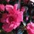 Debra Volden's profile image