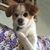 Becky Fontaine's profile image