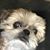 Clair LeFebre's profile image