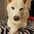 C Ann Loika's profile image