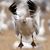 Jack Nevitt's profile image