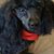 Venus Cochran's profile image