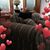 Audrey Bartus's profile image