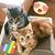 Susie Bewell's profile image
