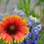 Kathy Downing's profile image