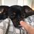 Kristie Spivey's profile image
