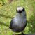 Michele Trautlein's profile image