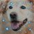 Donald Fitch's profile image