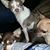 Rhonda Fields-Stamps's profile image