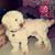 Marlane F. Bengry's profile image