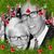 Bridget Bradley Kipfer's profile image
