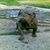 Carlos Camarena's profile image