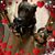 Lisa Ann Naranjo's profile image