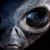 Jhon Jose's profile image