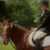 Joanne Racaniello Pelosi's profile image