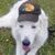 Michael Conrad's profile image