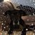 Sheila Cornelius's profile image