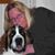 Cindy Seastrom's profile image