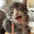 Claudia Ghidella's profile image