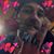 Djeremaya Wolfgang's profile image
