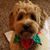 Vicki Dotson's profile image