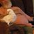 Carole L Dyer-Steckley's profile image