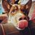 Suzanne Nielsen's profile image