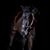 Erin Rothweiler's profile image