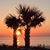 Julie Holkeboer Hardy's profile image