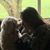 Dawn Farr's profile image