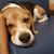 Sandy Walberg Krohn's profile image