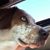 Julie Ann Maseth's profile image