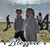 Betsy Deason Johnston's profile image