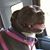 Debra Bennett's profile image