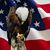 Tanisha Cleveland's profile image